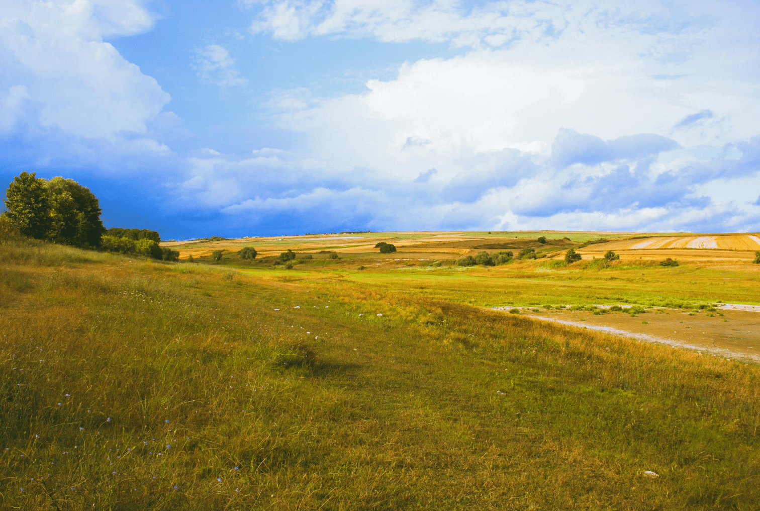 Acreages for sale in the MD of Willow Creek No. 26, Alberta between Calgary and Lethbridge